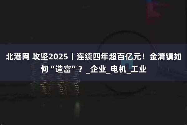 北港网 攻坚2025丨连续四年超百亿元！金清镇如何“造富”？_企业_电机_工业